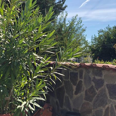 Guest House Paskal Balchik Exterior photo