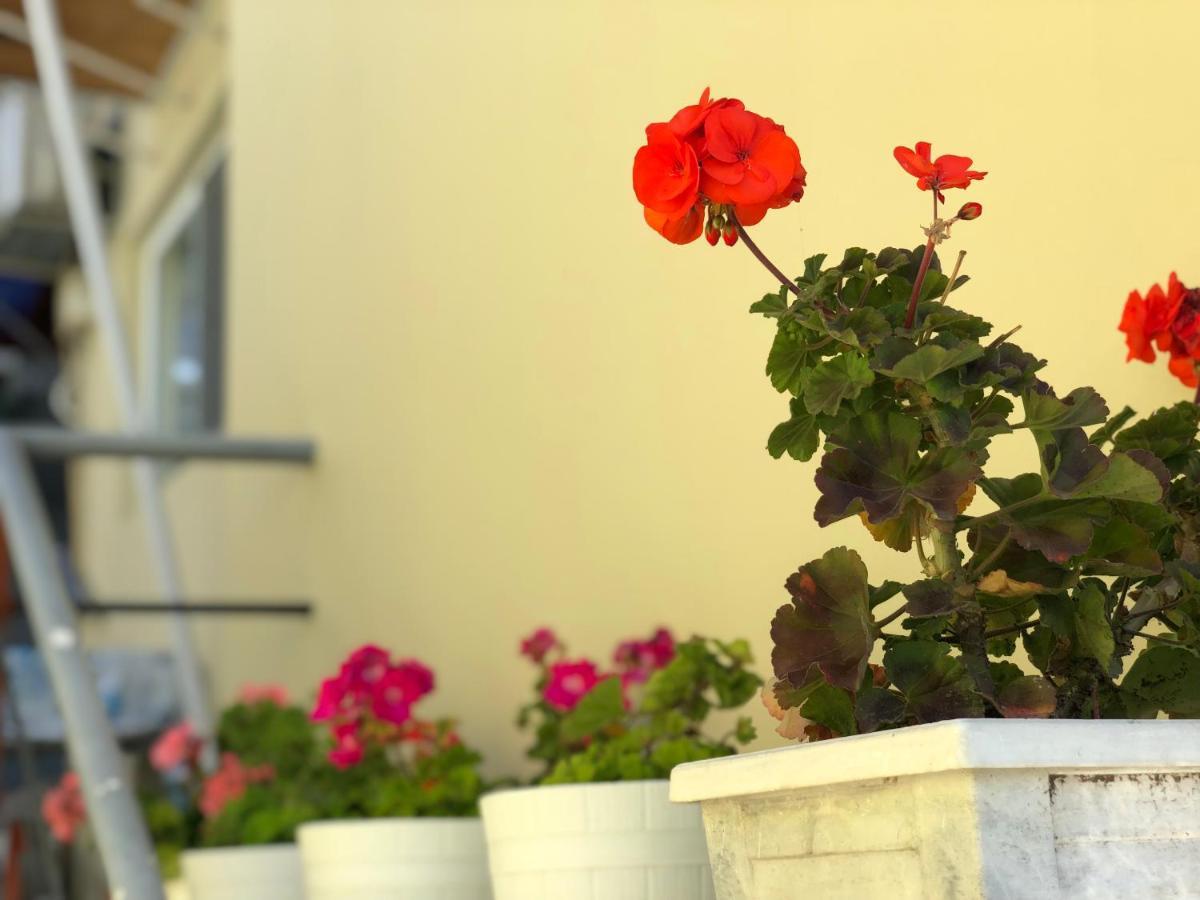Guest House Paskal Balchik Exterior photo