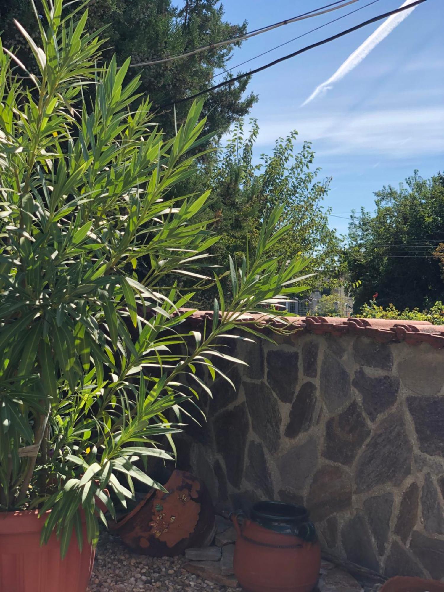 Guest House Paskal Balchik Exterior photo